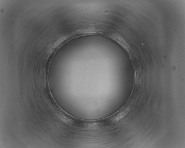 X0000073760301200608171403