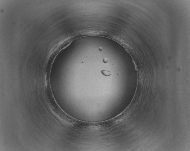 X0000073760302200608171403