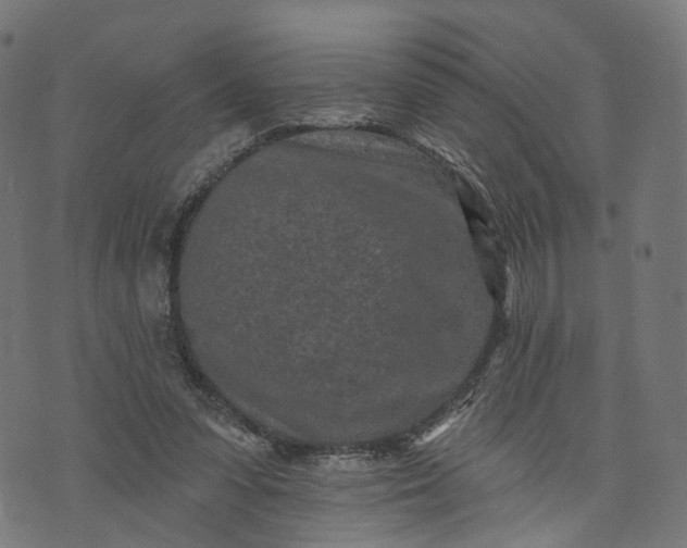 X0000073760303200608171403