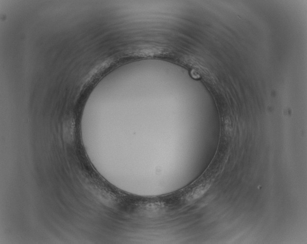 X0000073760304200608171403