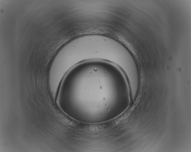 X0000073760305200608171403