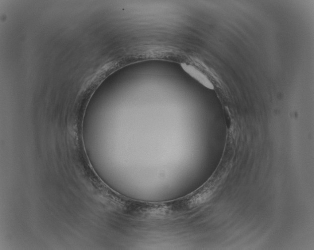 X0000073760306200608171403