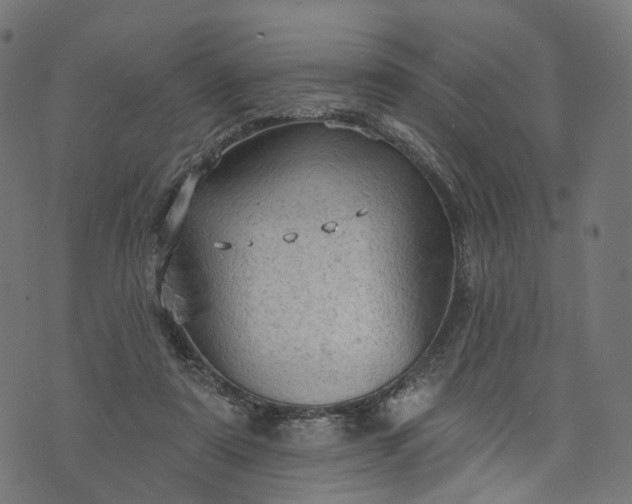 X0000073760307200608171403