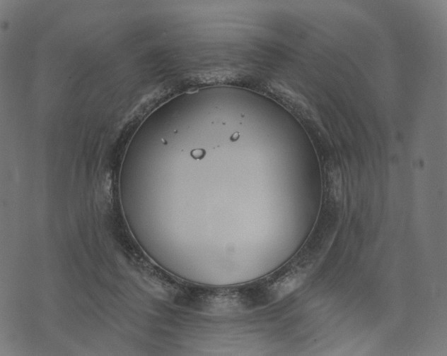 X0000073760308200608171403