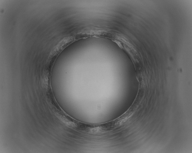 X0000073760309200608171403