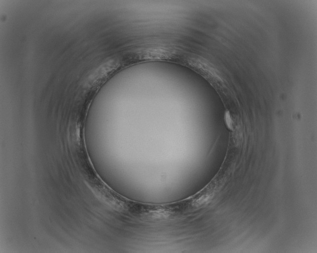 X0000073760310200608171403