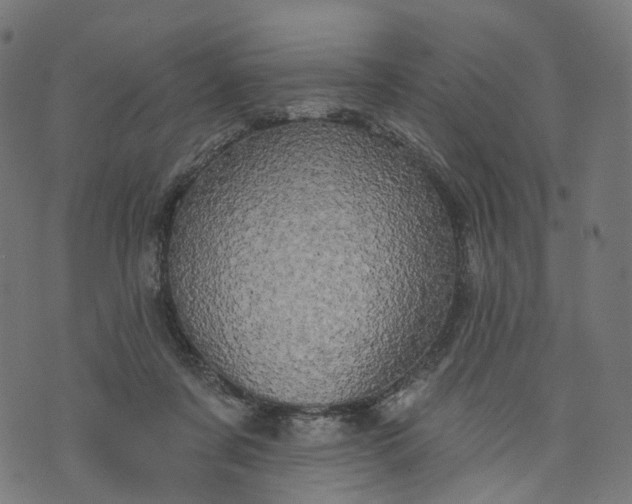 X0000073760311200608171403