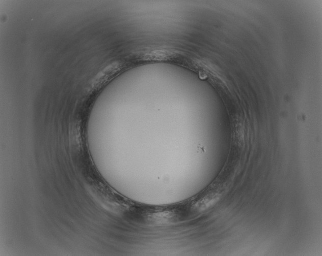 X0000073760312200608171403