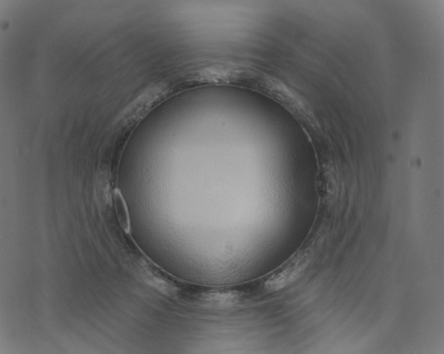 X0000073760313200608171403