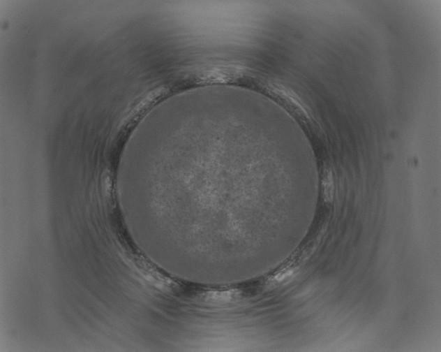 X0000073760314200608171403