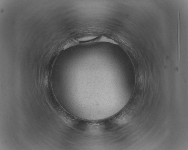 X0000073760315200608171403