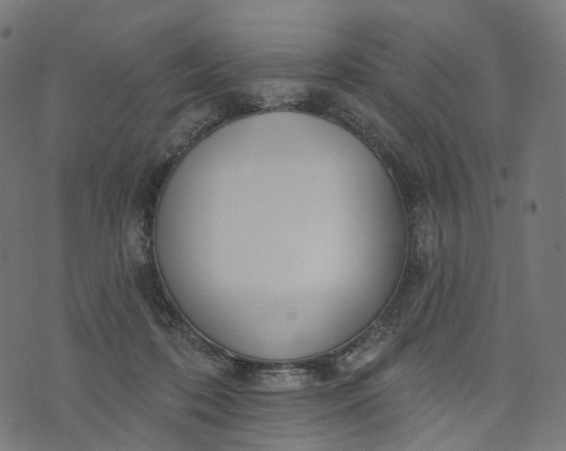 X0000073760316200608171403