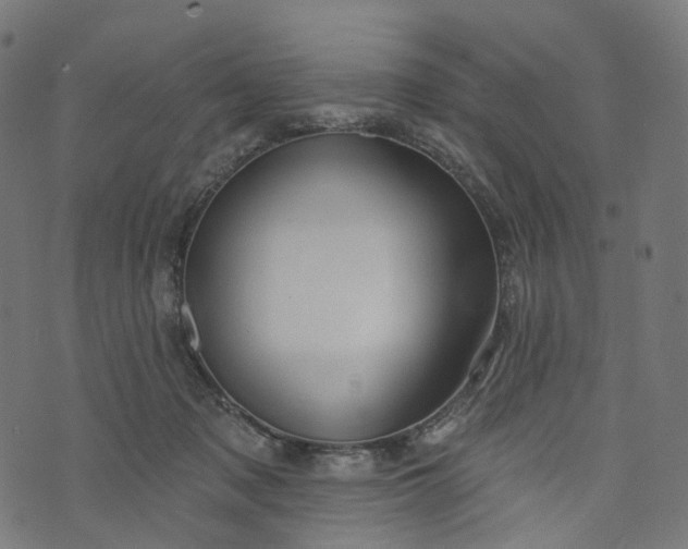 X0000073760317200608171403