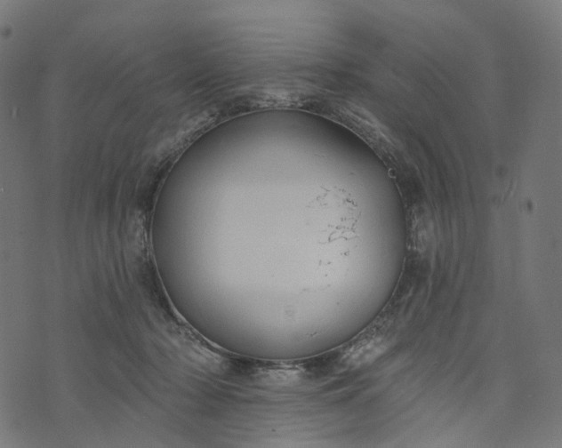 X0000073760318200608171403