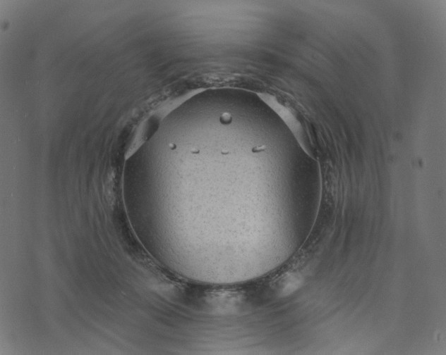 X0000073760319200608171403