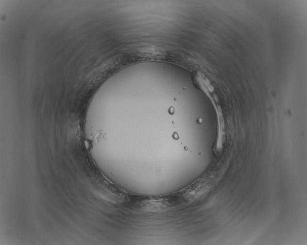 X0000073760320200608171403