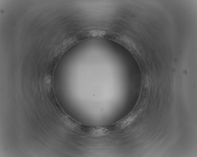 X0000073760321200608171403