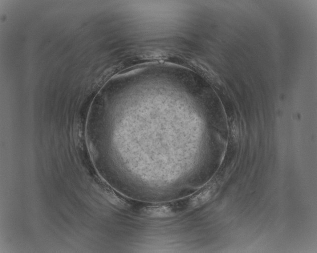 X0000073760322200608171403