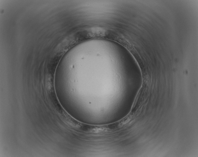 X0000073760323200608171403