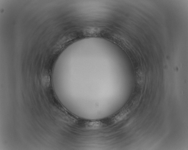 X0000073760324200608171403