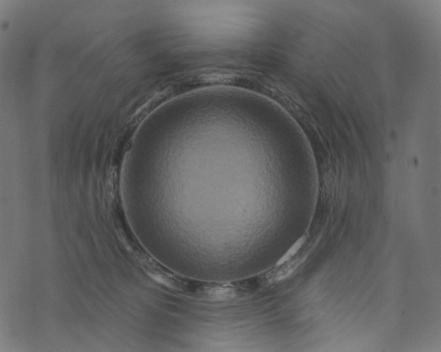 X0000073760325200608171403