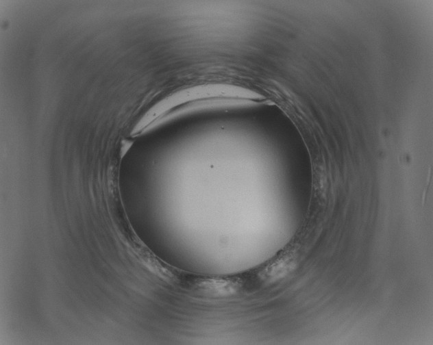 X0000073760326200608171403