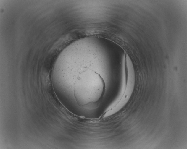 X0000073760327200608171403