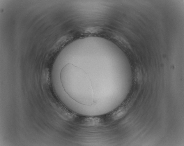 X0000073760328200608171403