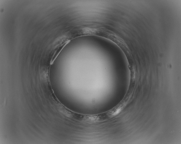 X0000073760329200608171403