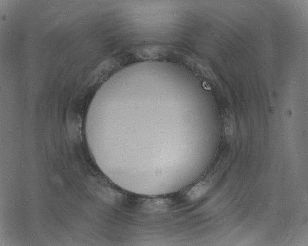 X0000073760332200608171403