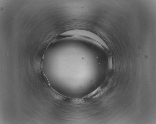 X0000073760333200608171403