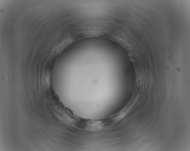 X0000073760334200608171403