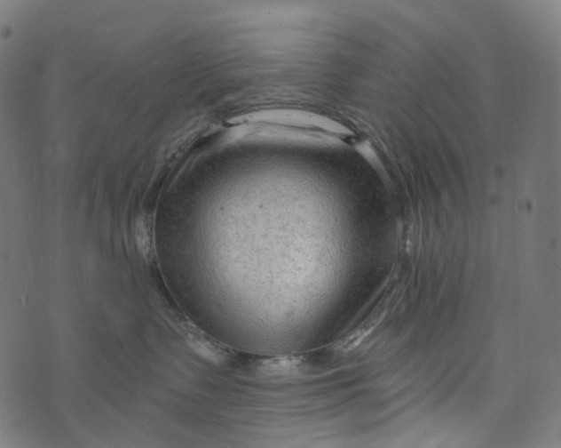 X0000073760335200608171403