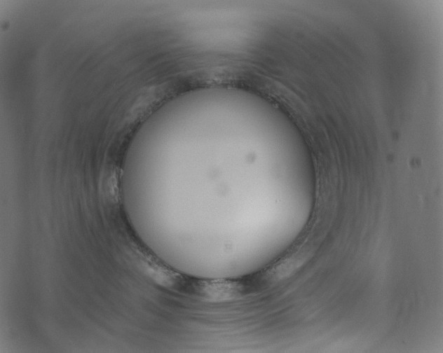 X0000073760336200608171402