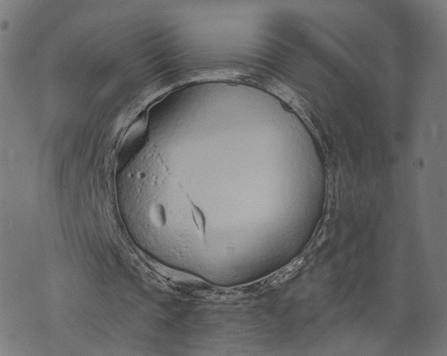 X0000073760337200608171402