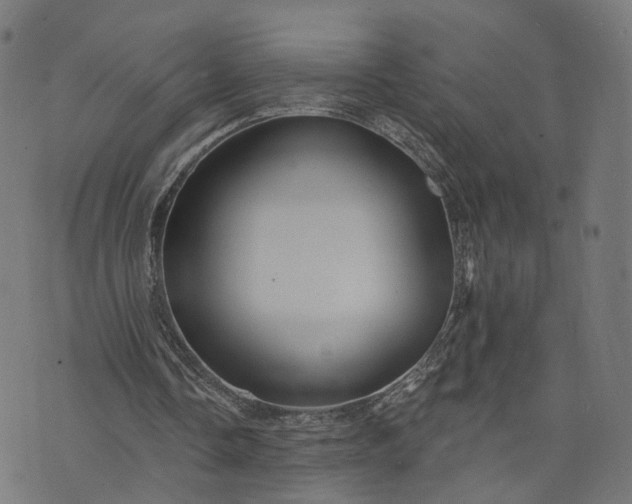 X0000073760338200608171402