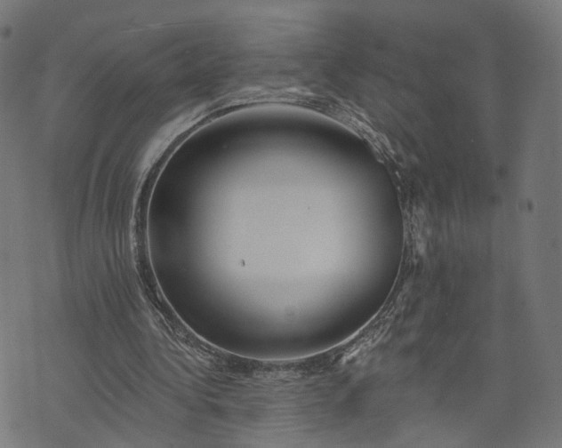 X0000073760340200608171402