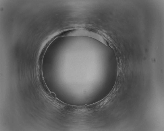 X0000073760342200608171402