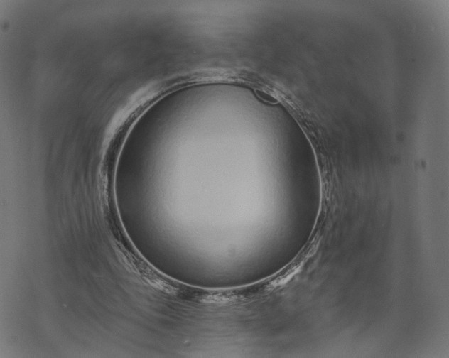 X0000073760343200608171402