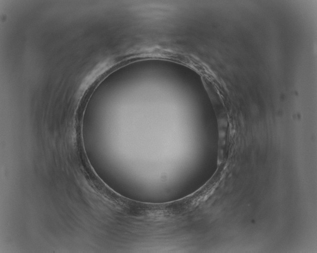 X0000073760344200608171402