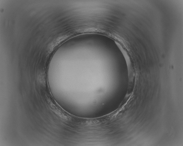 X0000073760345200608171402