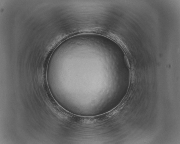 X0000073760346200608171402