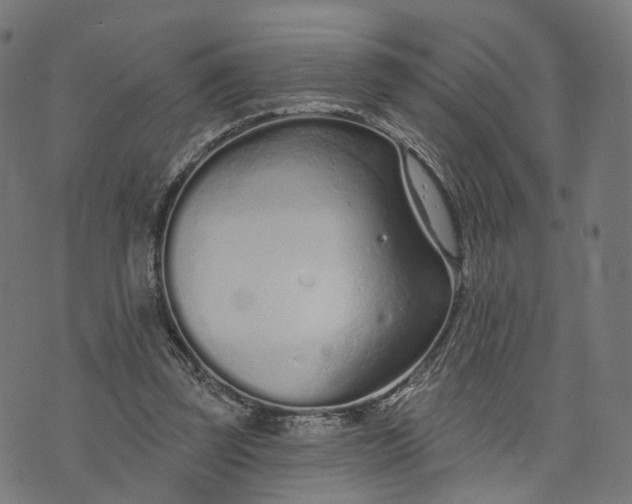 X0000073760347200608171402