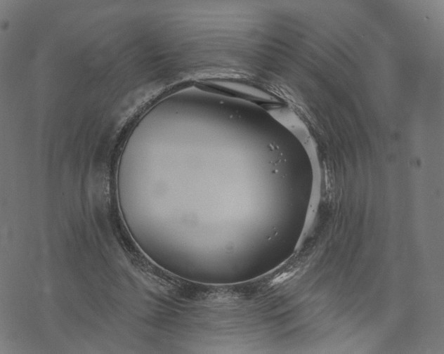 X0000073760348200608171402