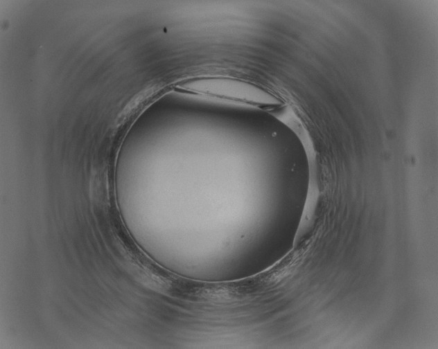 X0000073760349200608171402