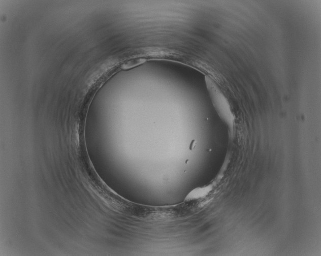 X0000073760350200608171402