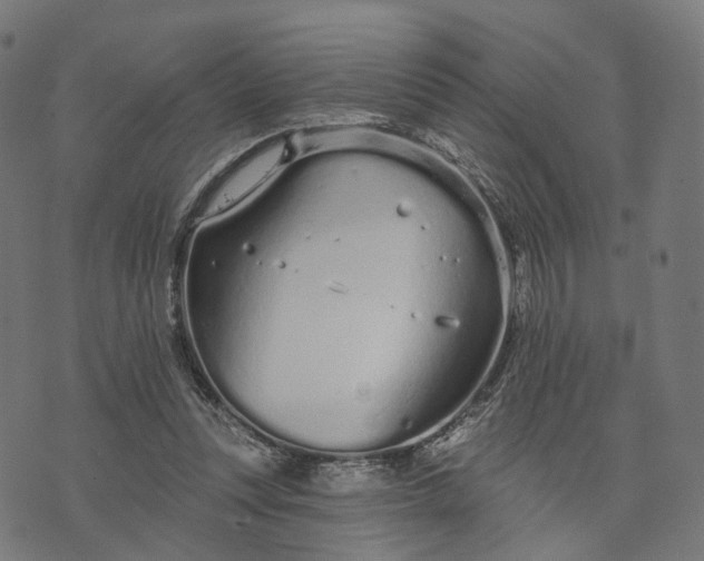 X0000073760351200608171402