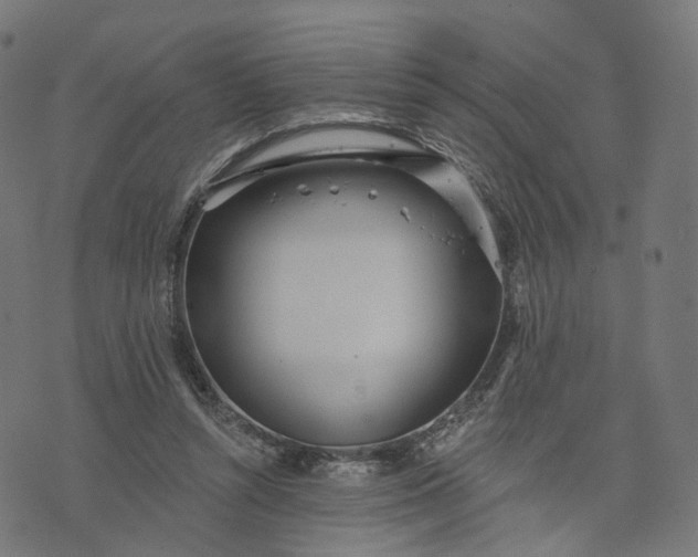 X0000073760352200608171402