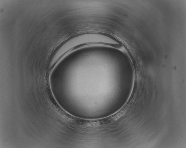 X0000073760353200608171402