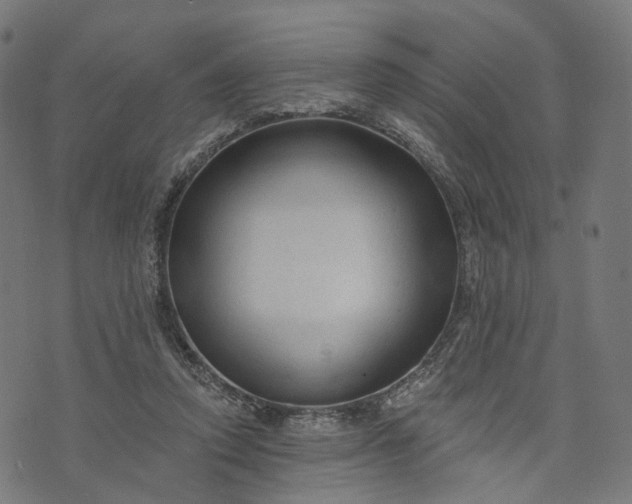 X0000073760354200608171402